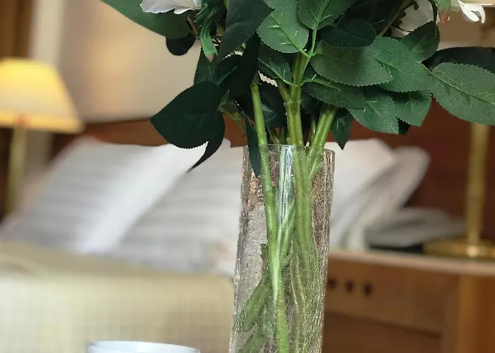 ホテル Chateau Linza