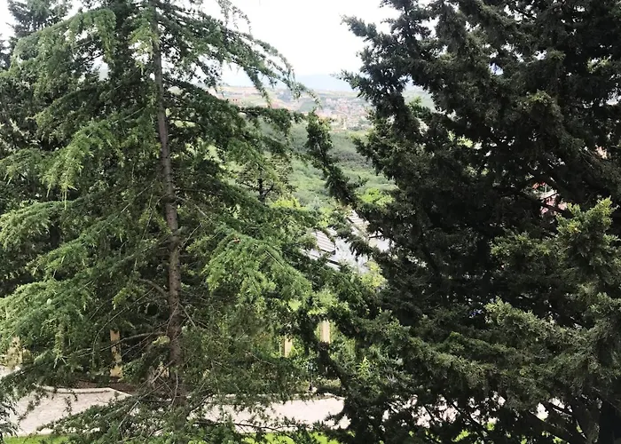 Chateau Linza ホテル Shkozë