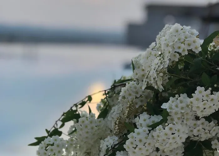 Chateau Linza 4* Shkozë