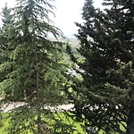 Chateau Linza Hotel Shkoze (Tirana)