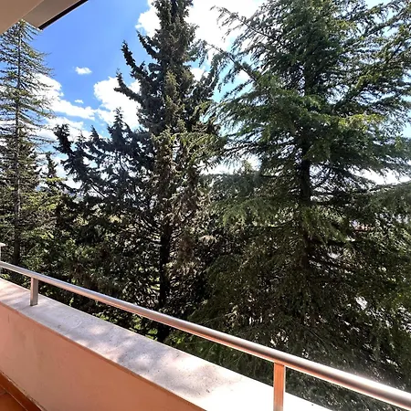 Chateau Linza 4*