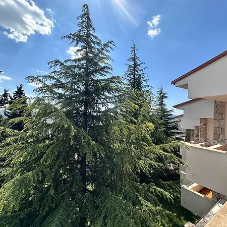 Chateau Linza 4* Shkoze (Tirana)