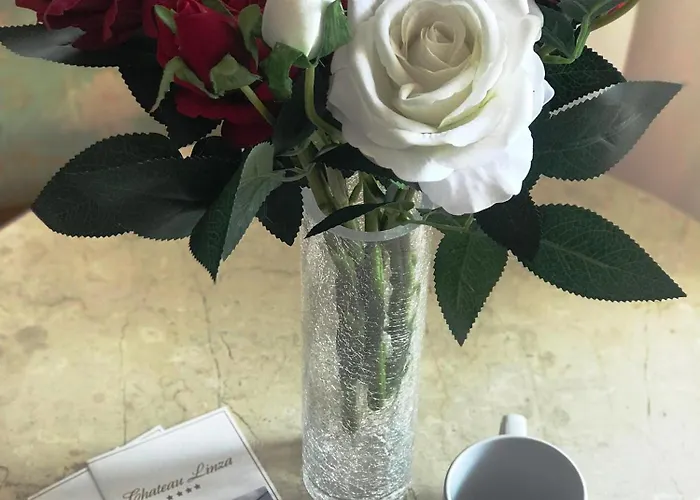 Hotel Chateau Linza 4*